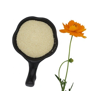 Food Grade Bovine Gelatin Beef Skin/Bone Used for Food Industry